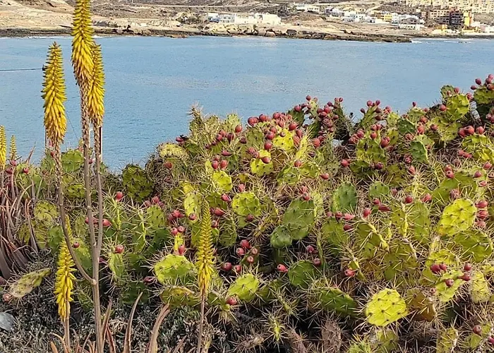 Casa Poris * بوريس دي أبونا