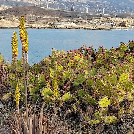 Casa Poris * Poris de Abona